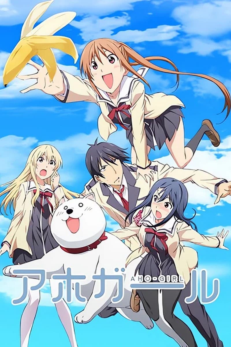 Ảnh banner anime Aho Girl